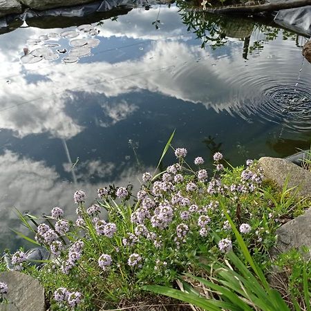 Il Giardino Segreto Lejlighed Beura Eksteriør billede