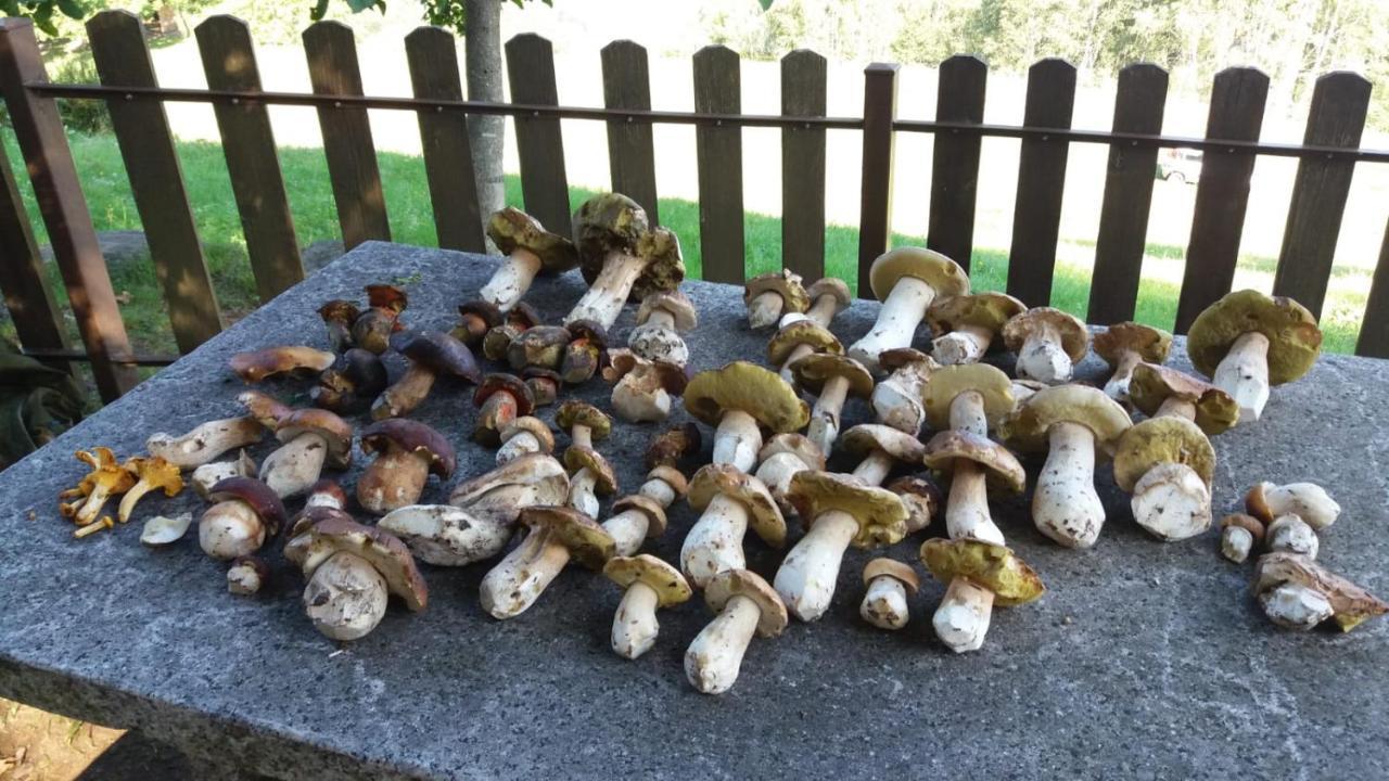 Il Giardino Segreto Lejlighed Beura Eksteriør billede